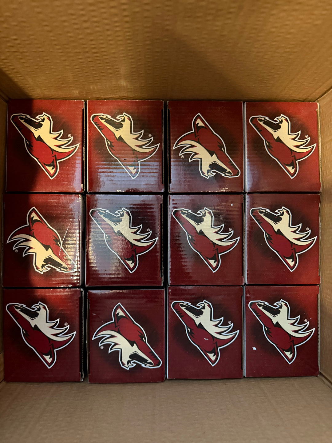 Shane Doan Arizona Coyotes Bobblehead, New in Box, NHL Collectible